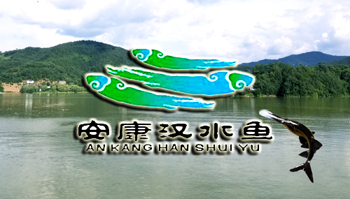 �����hˮ�~(y��)