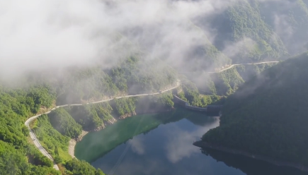 �(zh��n)ƺ���������x������ɭ���l(xi��ng)�塱