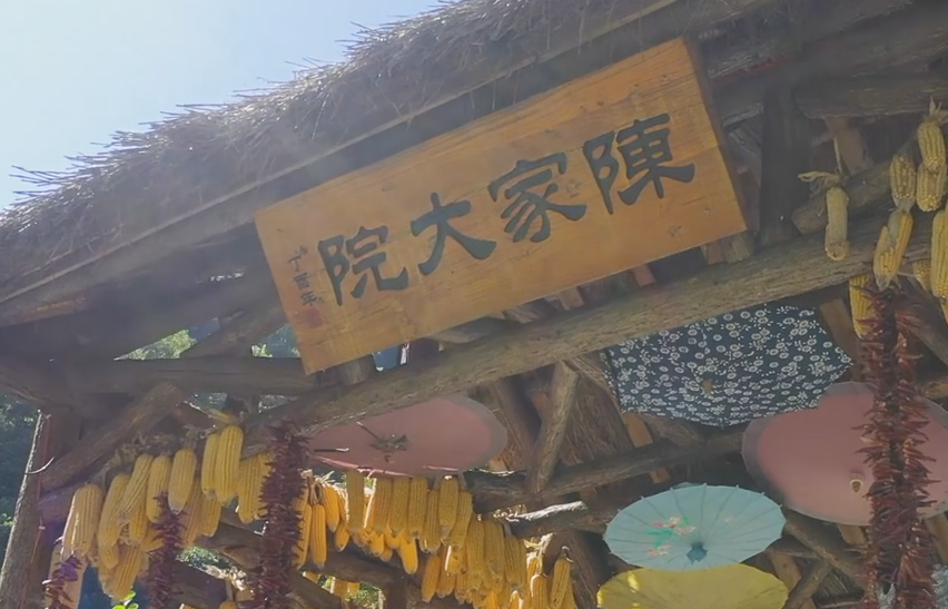 ҕ������ꐼҴ�Ժ�����l(xi��ng)������ ���w��r(n��ng)��������