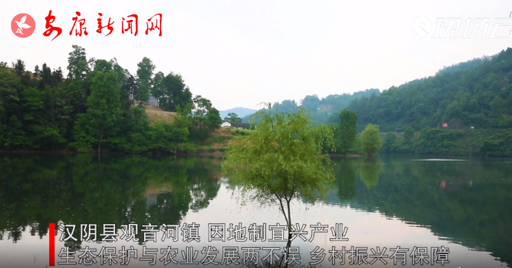 �hꎿh�^�����(zh��n)���B(t��i)���o�c�r(n��ng)�I(y��)�l(f��)չ�ɲ��`