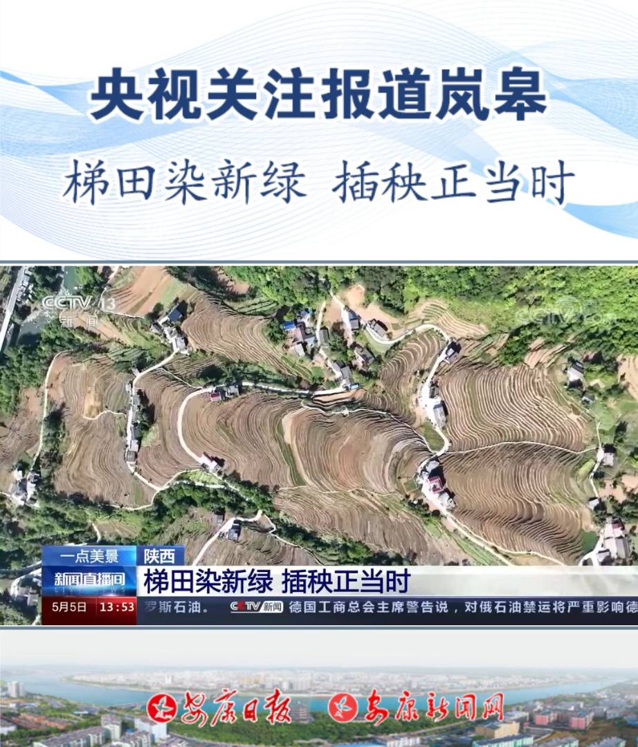 ��ҕ�P(gu��n)ע��(b��o)�����޿h�όmɽ�(zh��n)�𻨴塪��������Ⱦ�¾G ��������(d��ng)�r(sh��)����