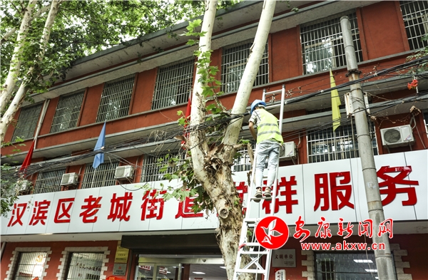 ����(w��)����