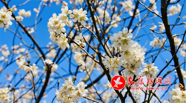 ǧ���ѻ�ӭ�́�