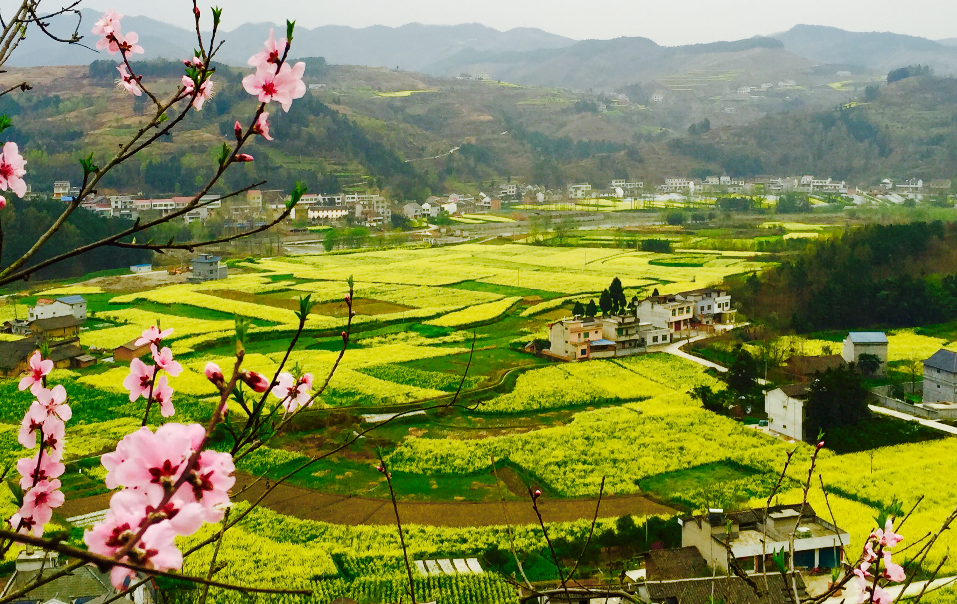 �������S����p����