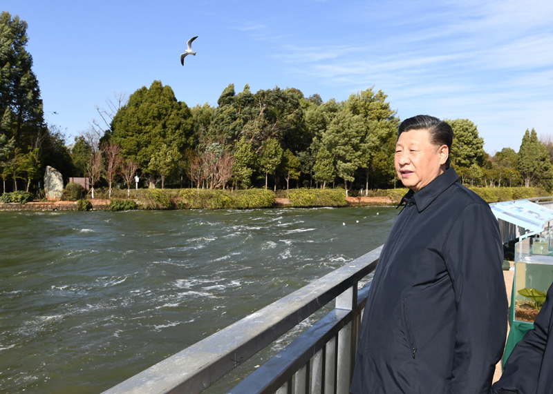 2020年1月20日下午，習(xí)近平總書記在云南昆明滇池星海半島生態(tài)濕地考察調(diào)研。